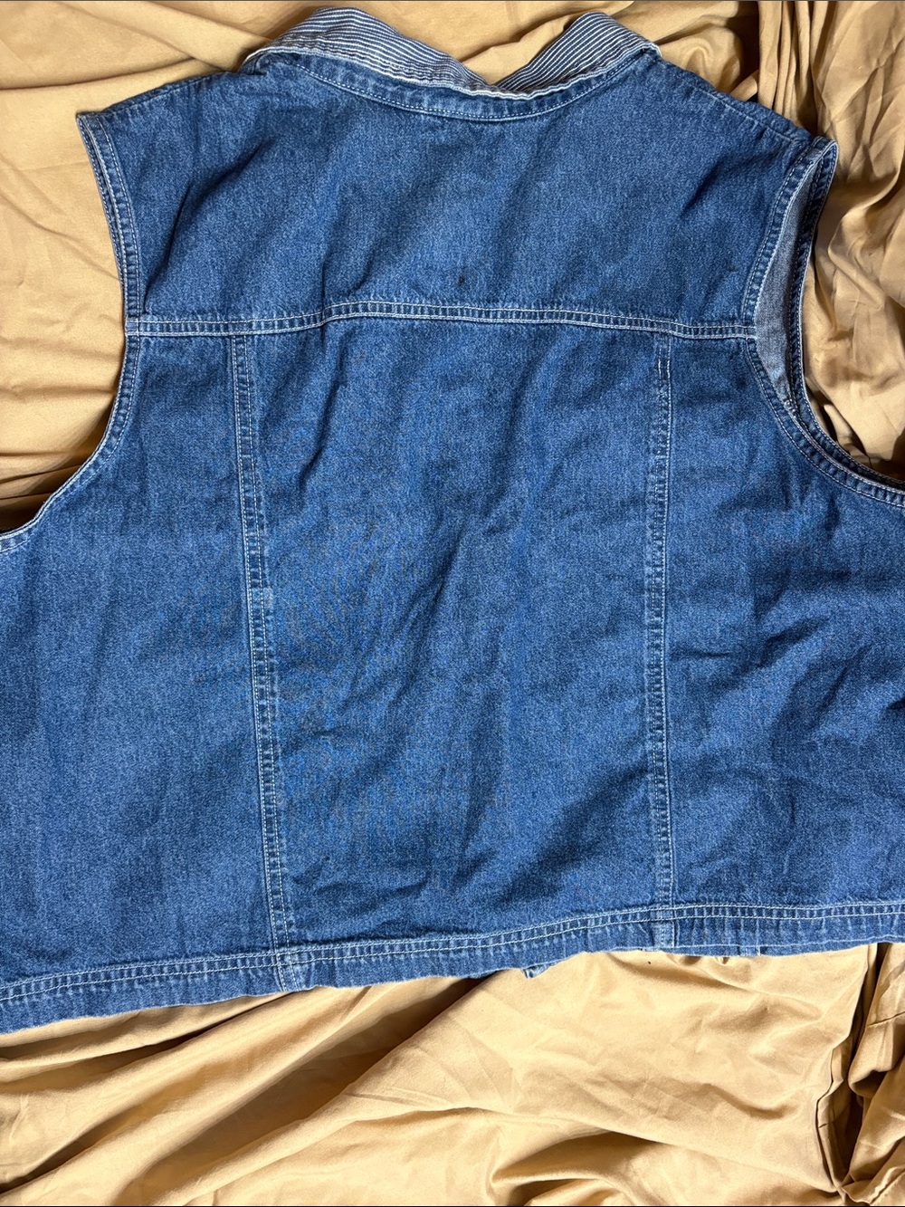 Vintage Carolina Blues Denim Sleeveless Jacket with Floral Embroidery - Blue - Picture 5 of 5